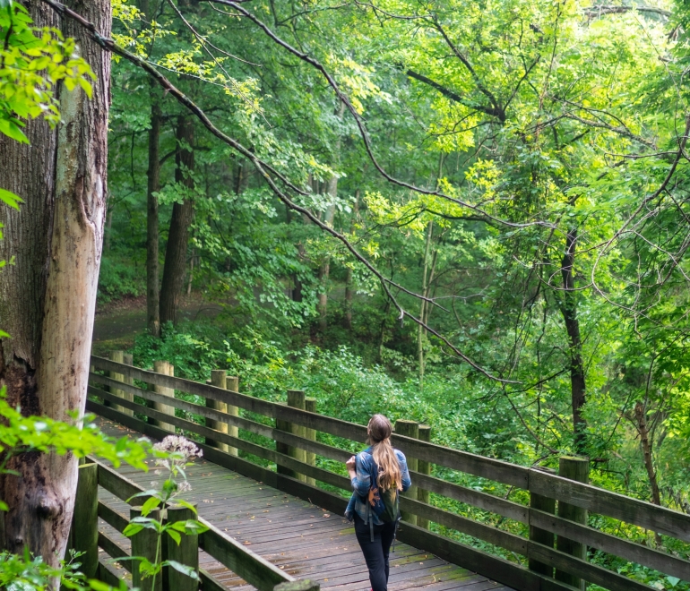 woman walks on a wooden bridge in the forest.