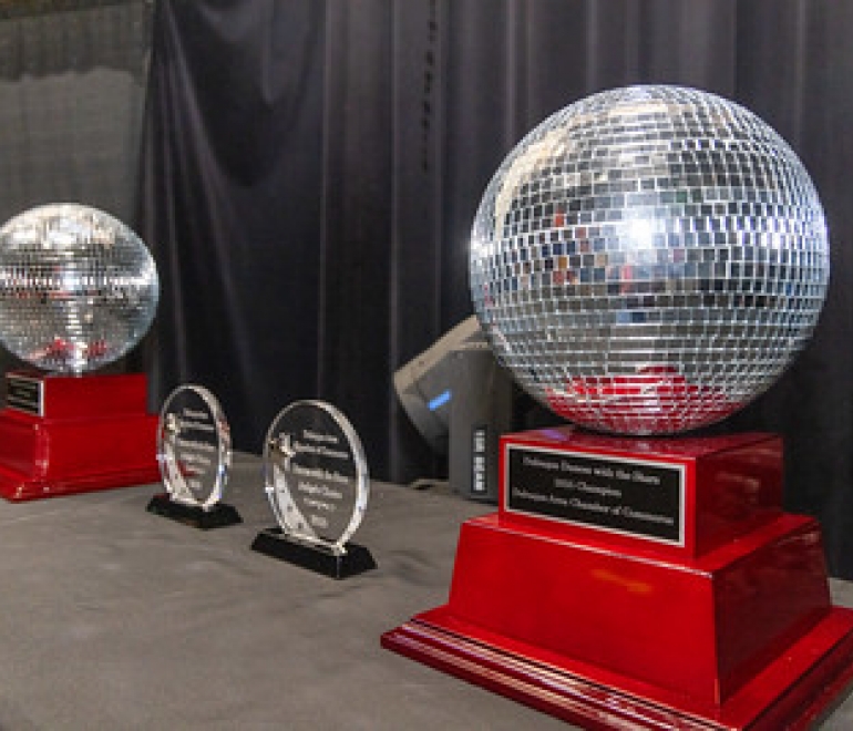 Mirror Ball Trophies
