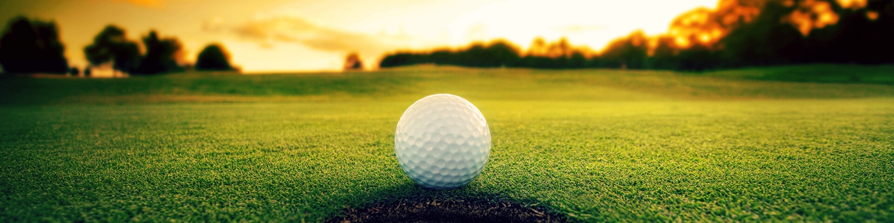 a golf ball sitting on the green of a course at sunset.